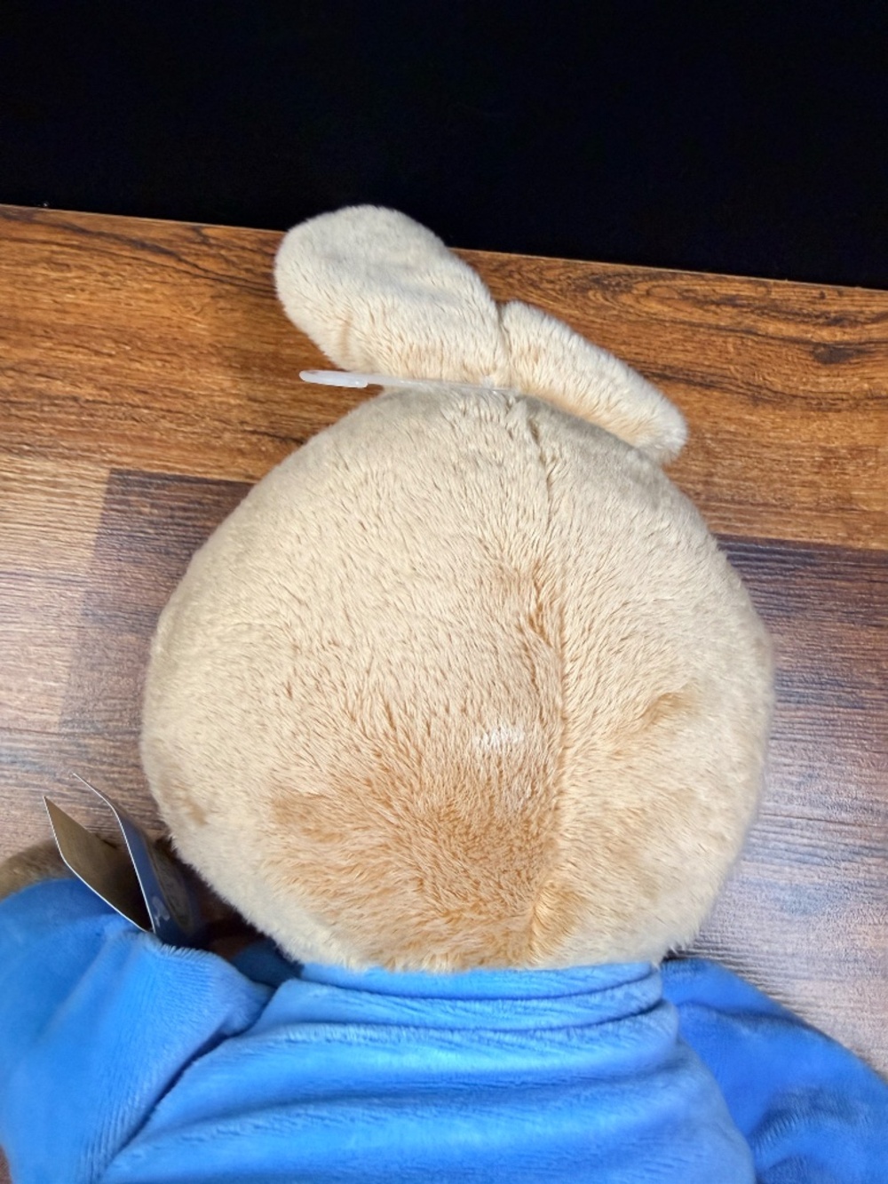 BEATRIX POTTER 2019 Peter Rabbit Stuffed Animal - Picture 7 of 13